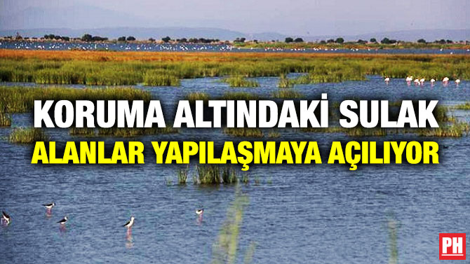 Koruma Altındaki Sulak Alanlar Yapılaşmaya Açılıyor
