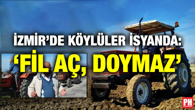 İzmir’de Köylüler İsyanda: ‘Fil Aç, Doymaz’