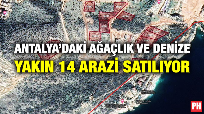 Antalya’daki Ağaçlık ve Denize Yakın 14 Arazi Satılıyor