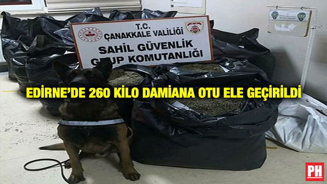 Edirne’de 260 Kilo Damiana Otu Ele Geçirildi