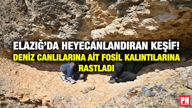 Elazığ’da Heyecanlandıran Keşif! Deniz Canlılarına ait Fosil Kalıntılarına Rastlandı