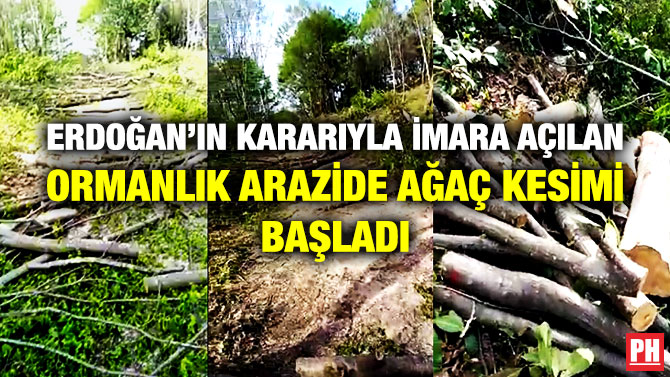 Erdoğan’ın Kararıyla İmara Açılan  Ormanlık Arazide Ağaç Kesimi Başladı