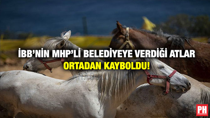 İBB’nin MHP’li Belediyeye Verdiği Atlar Ortadan Kayboldu!