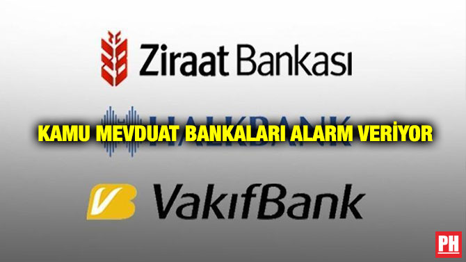 Kamu Mevduat Bankaları Alarm Veriyor