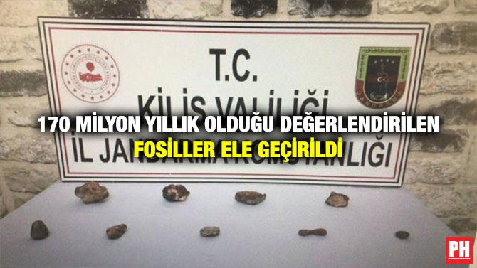 170 Milyon Yıllık Olduğu Değerlendirilen Fosiller Ele Geçirildi