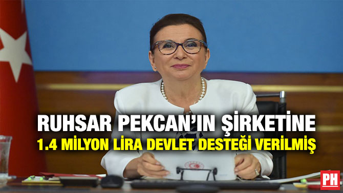 Ruhsar Pekcan’ın Şirketine 1.4 Milyon Lira Devlet Desteği Verilmiş