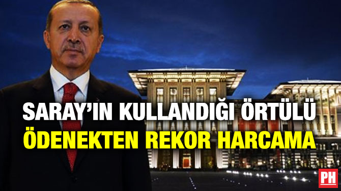 Saray’ın Kullandığı Örtülü Ödenekte Rekor Harcama