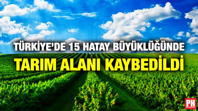 Türkiye’de 15 Hatay Büyüklüğünde Tarım Alanı Kaybedildi