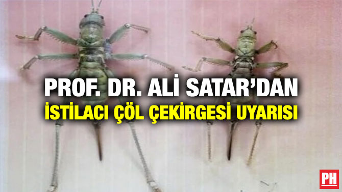 Prof. Dr. Ali Satar’dan İstilacı Çöl Çekirgesi Uyarısı: