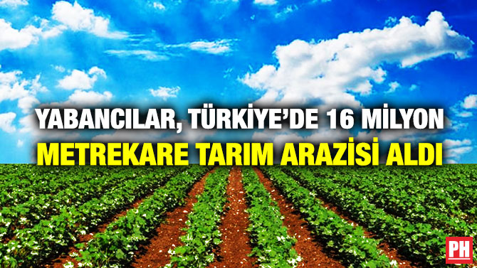 Yabancılar, Türkiye’de 16 Milyon Metrekare Tarım Arazisi Aldı
