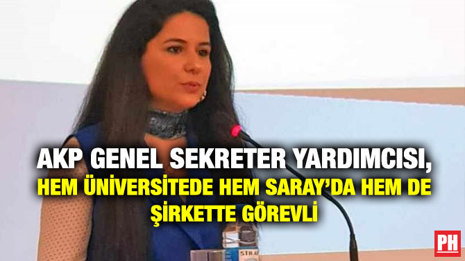AKP Genel Sekreter Yardımcısı, Hem Üniversitede Hem Saray’da Hem de Şirkette Görevli