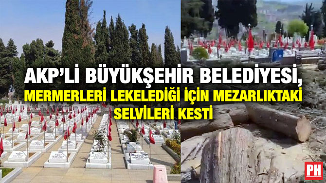 AKP’li Büyükşehir Belediyesi, Mermerleri Lekelediği İçin Mezarlıktaki Selvileri Kesti