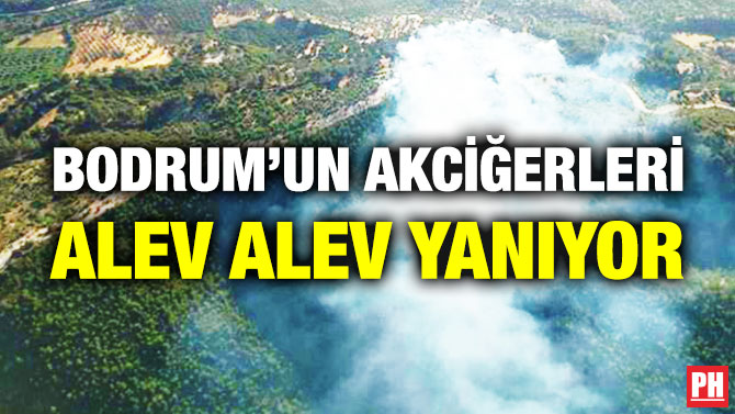 Bodrum’un Akciğerleri Alev Alev Yanıyor