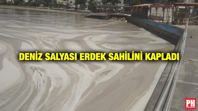 Deniz Salyası Erdek Sahilini Kapladı