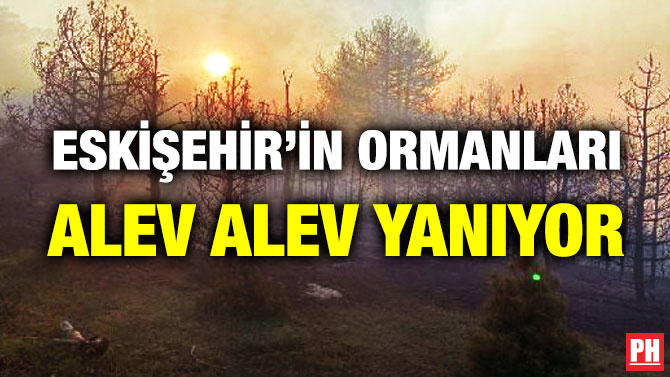 Eskişehir’in Ormanları Alev Alev Yanıyor