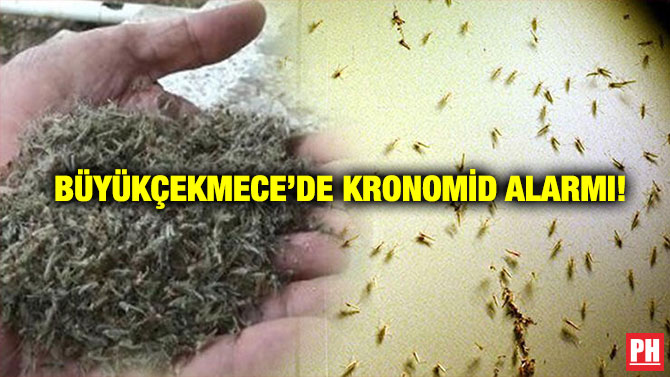 Büyükçekmece’de Kronomid alarmı!