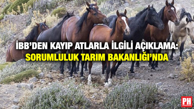 İBB’den Kayıp Atlarla İlgili Açıklama: Sorumluluk Tarım Bakanlığı’nda