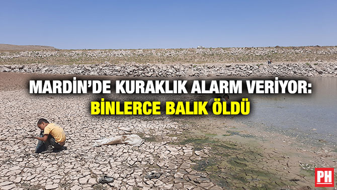 Mardin’de Kuraklık Alarm Veriyor: Binlerce Balık Öldü