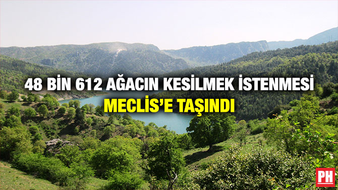 48 Bin 612 Ağacın Kesilmek İstenmesi Meclis’e Taşındı