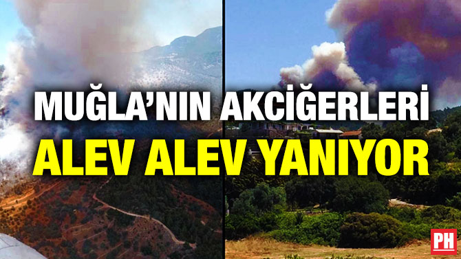 Muğla’nın Akciğerleri Alev Alev Yanıyor