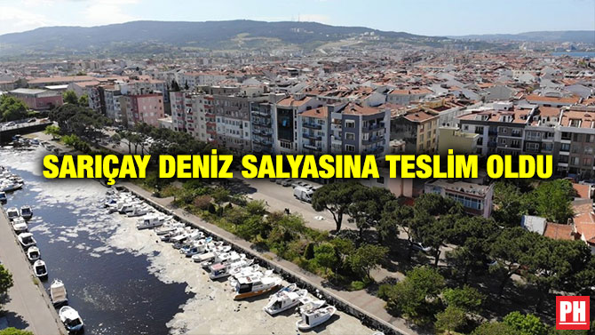 Sarıçay Deniz Salyasına Teslim Oldu