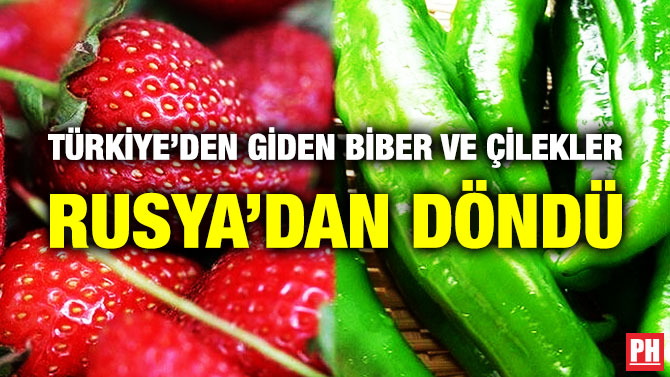Türkiye’den Giden Biber ve Çilekler Rusya’dan Döndü