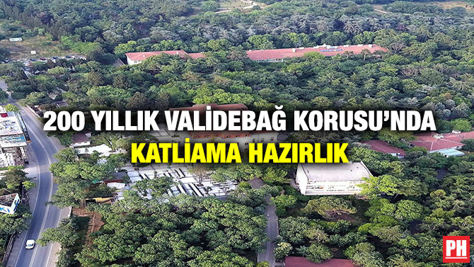 200 yıllık Validebağ Korusu’nda Katliama Hazırlık