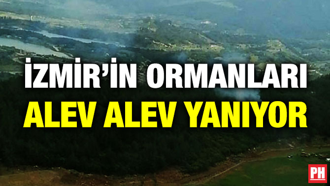 İzmir’in Ormanları Alev Alev Yanıyor