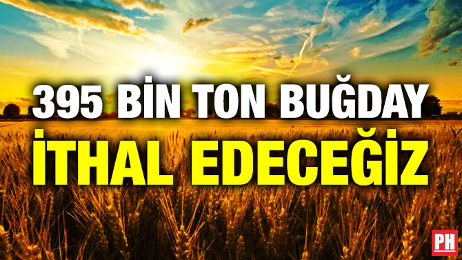 395 Bin Ton Buğday İthal Edeceğiz