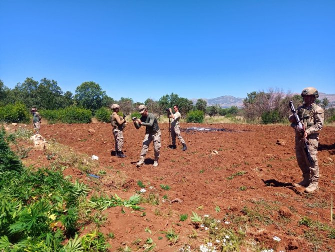 Diyarbakır’da Terör Örgütü PKK’nın Finans Kaynağına Ağır Darbe