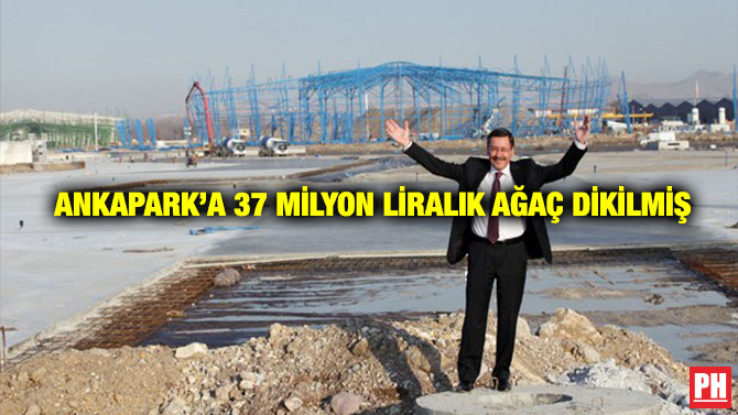 Ankapark’a 37 Milyon Liralık Ağaç Dikilmiş
