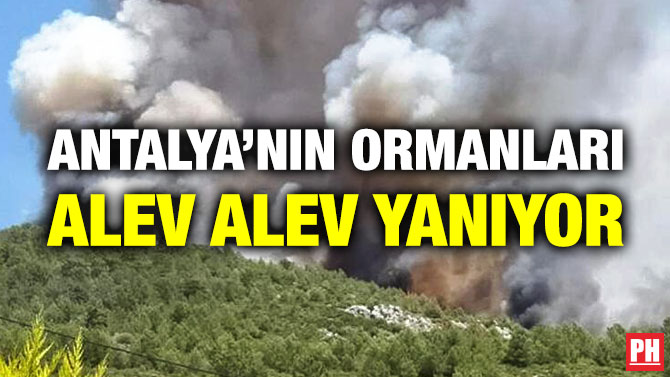 Antalya’nın Ormanları Alev Alev Yanıyor