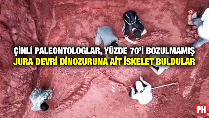 Çinli Paleontologlar, Yüzde 70’i Bozulmamış Jura Devri Dinozuruna Ait İskelet Buldular