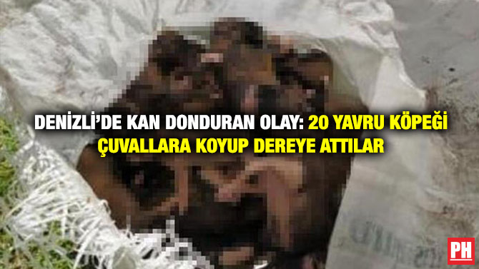 Denizli’de Kan Donduran Olay: 20 Yavru Köpeği Çuvallara Koyup Dereye Attılar