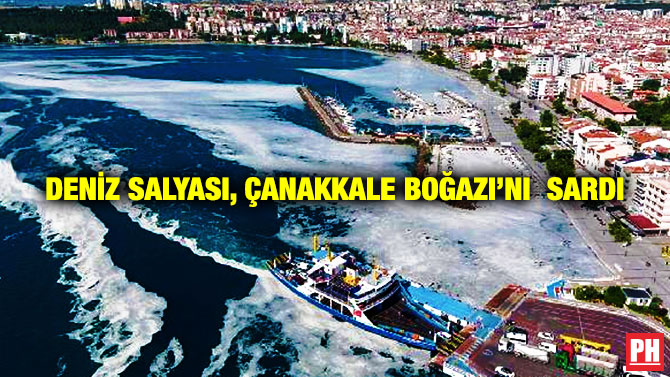 Deniz Salyası, Çanakkale Boğazı’nı  Sardı