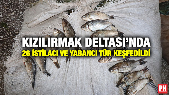 Kızılırmak Deltası’nda 26 İstilacı ve Yabancı Tür Keşfedildi