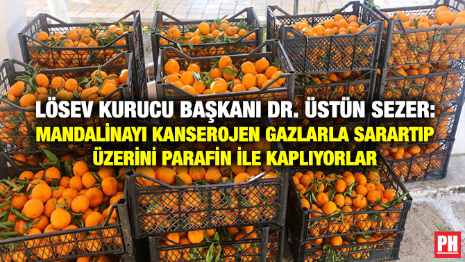 LÖSEV Kurucu Başkanı Dr. Üstün Sezer: Mandalinayı Kanserojen Gazlarla Sarartıp Üzerini Parafin ile Kaplıyorlar