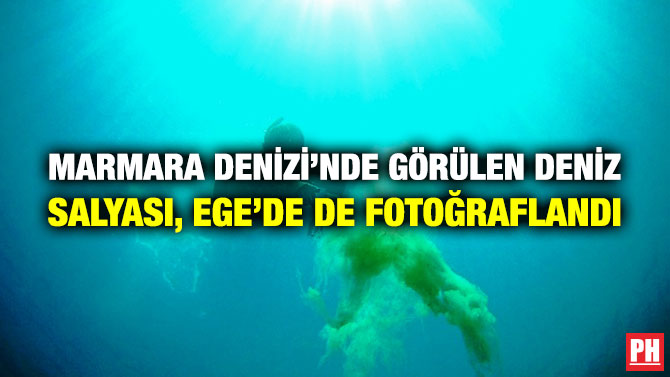 Marmara Denizi’nde Görülen Deniz Salyası, Ege’de de Fotoğraflandı
