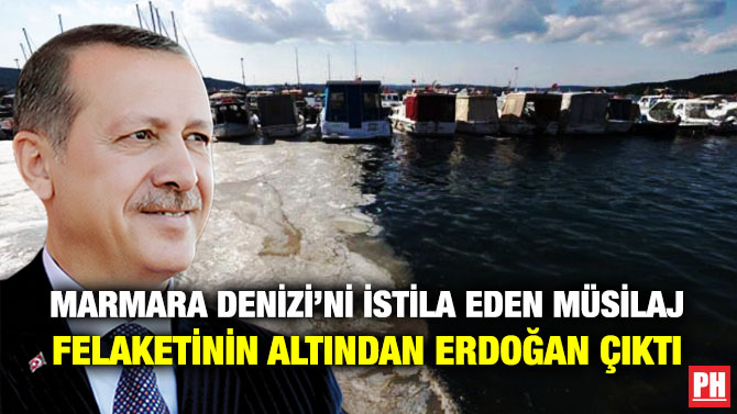 Marmara Denizi’ni İstila Eden Müsilaj Felaketinin Altından Erdoğan Çıktı