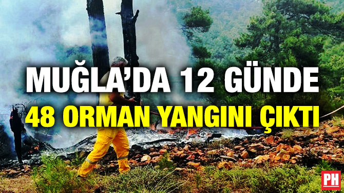 Muğla’da 12 Günde 48 Orman Yangını Çıktı