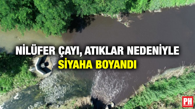 Nilüfer Çayı, Atıklar Nedeniyle Siyaha Boyandı