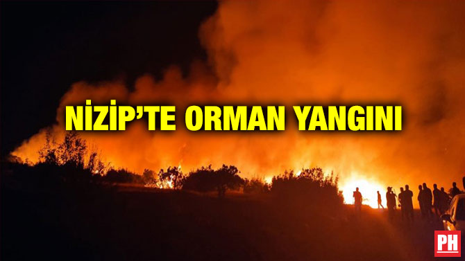 Nizip’te Orman Yangını