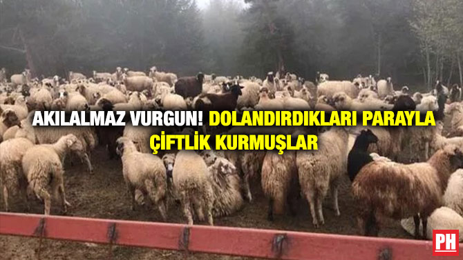 Akılalmaz Vurgun! Dolandırdıkları Parayla Çiftlik Kurmuşlar