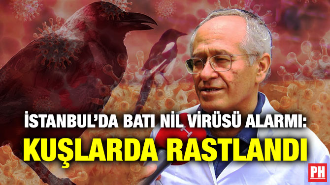 İstanbul’da Batı Nil Virüsü Alarmı: Kuşlarda Rastlandı