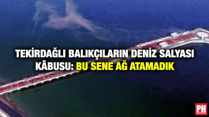 Tekirdağlı Balıkçıların Deniz Salyası Kâbusu: Bu Sene Ağ Atamadık
