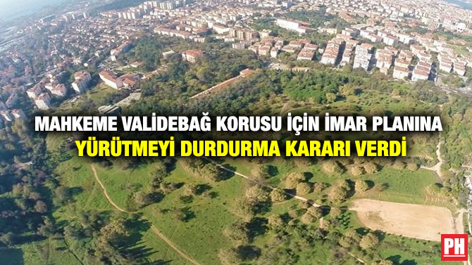 Mahkeme Validebağ Korusu İçin İmar Planına Yürütmeyi Durdurma Kararı Verdi