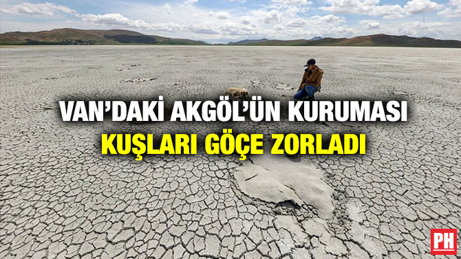 Van’daki Akgöl’ün Kuruması Kuşları Göçe Zorladı