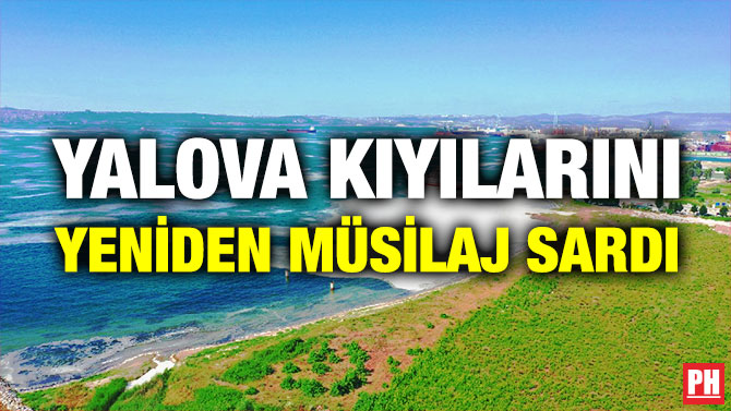 Yalova Kıyılarını Yeniden Müsilaj Sardı