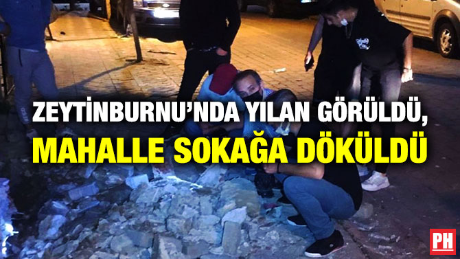 Zeytinburnu’nda Yılan Görüldü, Mahalle Sokağa Döküldü