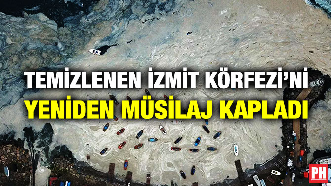 Temizlenen İzmit Körfezi’ni Yeniden Müsilaj Kapladı